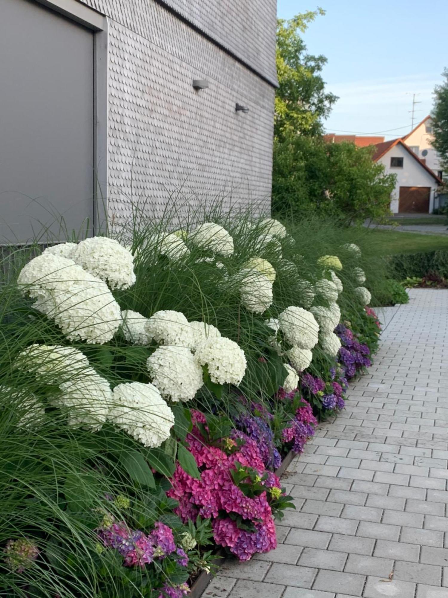 Ferienwohnung Trilogie Am See - Maulbeere Stetten  Kültér fotó